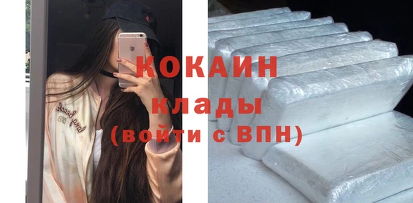 spice Алзамай