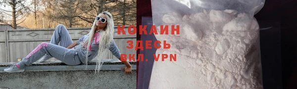 spice Алзамай