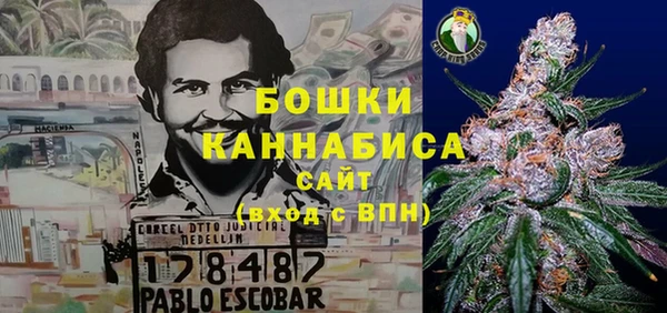 ГАЛЛЮЦИНОГЕННЫЕ ГРИБЫ Майский