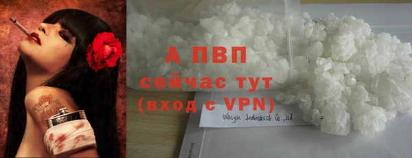 твердый Алексин