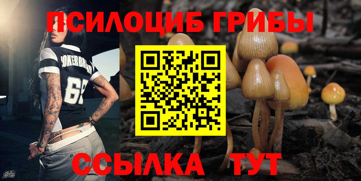 Миасс  Галлюциногенные грибы Psilocybe  Вход с VPN 